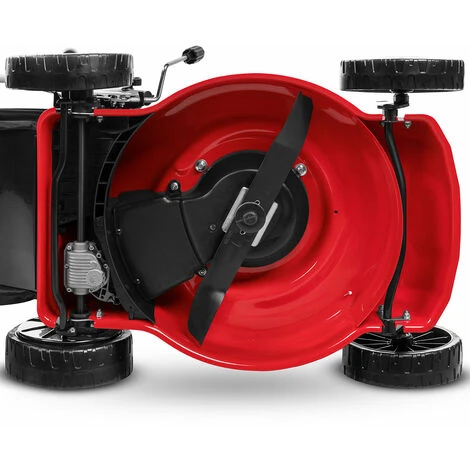 Tosaerba A Benzina 132cc 4.5cv, Motore A 4 Tempi, Larghezza Di Taglio 41 Cm, Altezza Di Taglio 25-75mm Regolabile In 7 Posizioni, Cesto 45L, Raccolta 2 In 1 - Greencut GLM590X 4 Tosaerba A Benzina 132cc 4.5cv, Motore A 4 Tempi, Larghezza Di Taglio 41 Cm, Altezza Di Taglio 25-75mm Regolabile In 7 Posizioni, Cesto 45L, Raccolta 2 In 1 - Greencut GLM590X - immagine 4