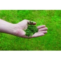 Tagliaerba Einhell A Batteria GE-CM 36/43 Li M-Solo Mulching Senza Batteria Per Prati 600mq -Cura Del Prato 34694029 3