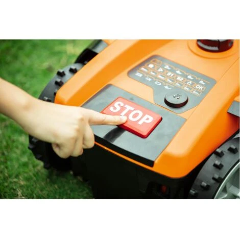 Motor Boat Classic 500b 3 Motor Boat Classic 500b - immagine 3