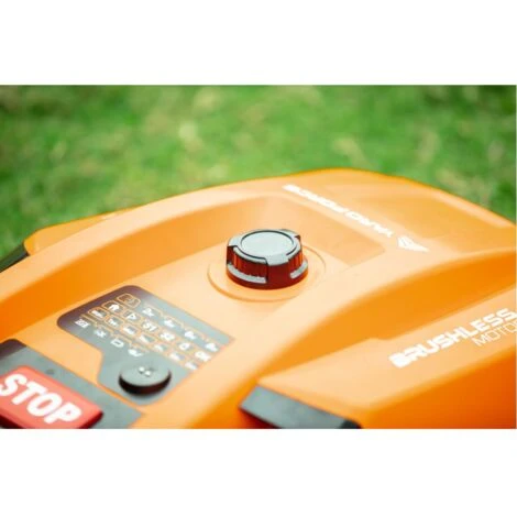 Motor Boat Classic 500b 4 Motor Boat Classic 500b - immagine 4