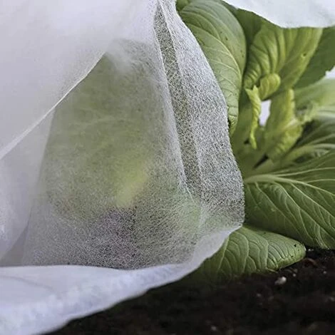 Rotolo Di Tessuto Per La Protezione Delle Colture 2x20m 17gr/m² Biotop Giardino 2 Rotolo Di Tessuto Per La Protezione Delle Colture 2x20m 17gr/m² Biotop Giardino - immagine 2