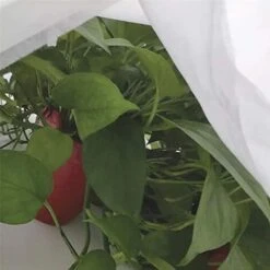 Rotolo Di Tessuto Per La Protezione Delle Colture 2x20m 17gr/m² Biotop Giardino 7 Rotolo Di Tessuto Per La Protezione Delle Colture 2x20m 17gr/m² Biotop Giardino -Cura Del Prato 67362928 3