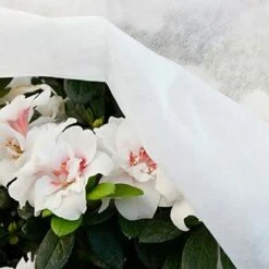 Rotolo Di Tessuto Per La Protezione Delle Colture 2x20m 17gr/m² Biotop Giardino 8 Rotolo Di Tessuto Per La Protezione Delle Colture 2x20m 17gr/m² Biotop Giardino -Cura Del Prato 67362928 4